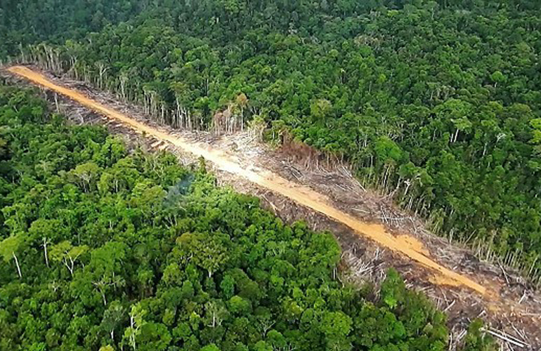 La narco-deforestacion arrasa Centroamerica