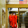 Las cárceles privadas de eeuu albergan más hispanos que blancos.