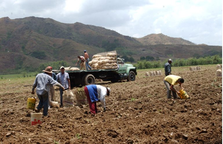 Fedeagro califica como grave el nivel de producción del país