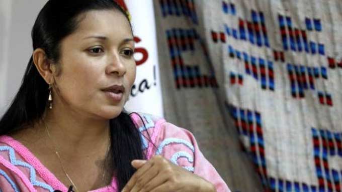 Oficialismo busca cambios en votación de diputados indígenas