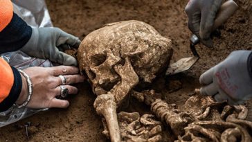 Cadaver MUD